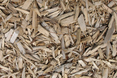 biomass boilers Camas Luinie